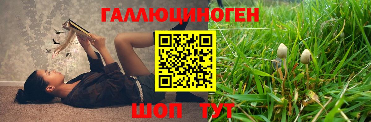 Псилоцибиновые грибы Cubensis Пенза
